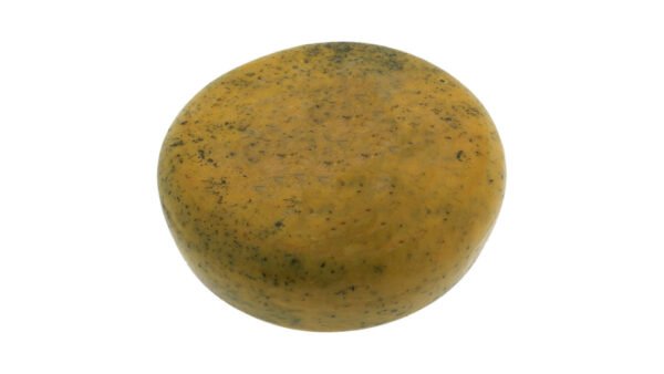 Boer Brandnetel 48+